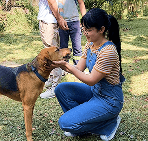 Pessoa bricando com o cachorro na ação solidária